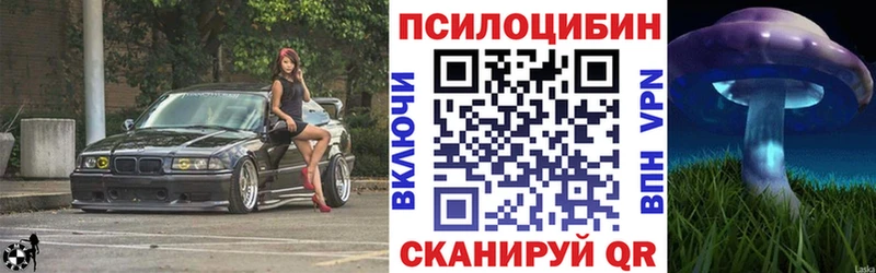 Галлюциногенные грибы GOLDEN TEACHER  Купить закладки  Отрадное 